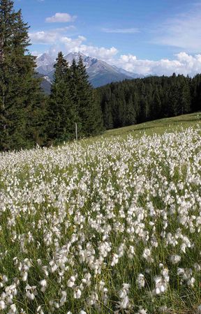 Bio & Natur